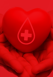 Série “Campanha Setembro Vermelho.”.